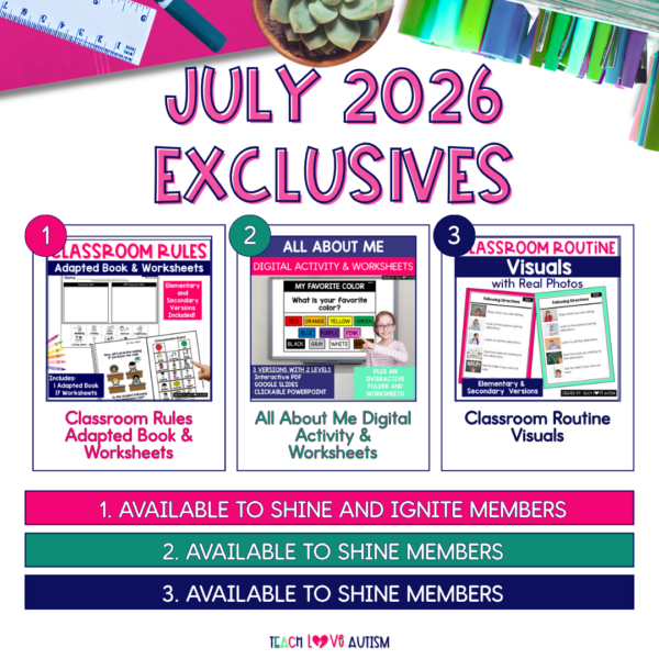 Teach Love Resource Membership - Teacher - Image 3