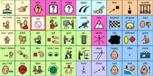 You want to teach core vocabulary words with essential words and visuals to help your students communicate.