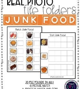 Real Photo File Folders: Junk Food