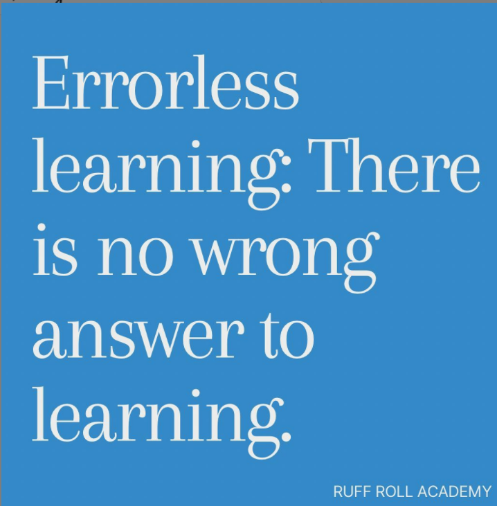 errorless learning has no wrong answer