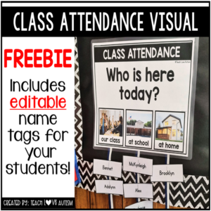 Class Attendance Visual Freebie