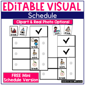 Editable Visual Schedule - Mini Visual Schedule